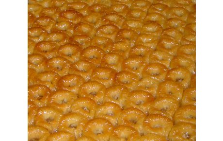 Tereyağlı Tordo Bülbül Yuvası
